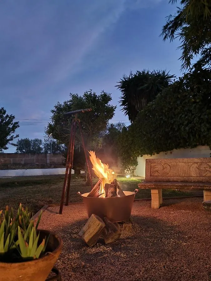 Eco Finca Sa Becadeta Villa Llucmajor  Holiday home